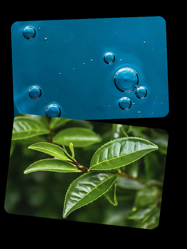 Salicylic acid face wash